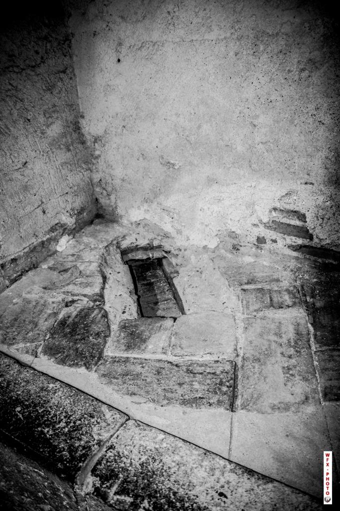 Chateau de Salse-47