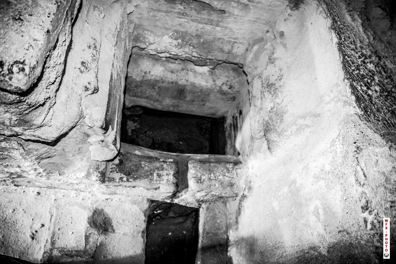 Chateau de Salse-63