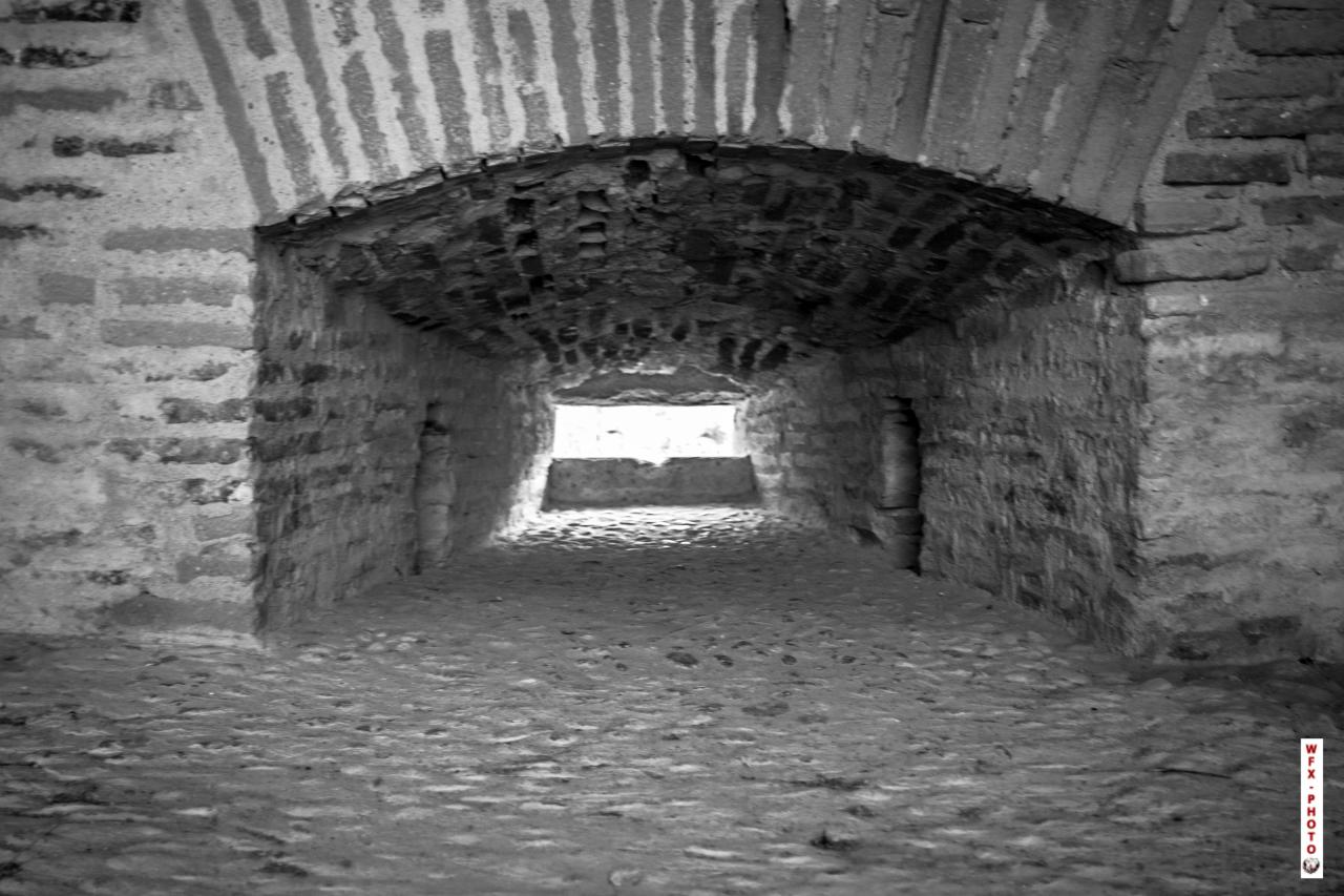 Chateau de Salse-67