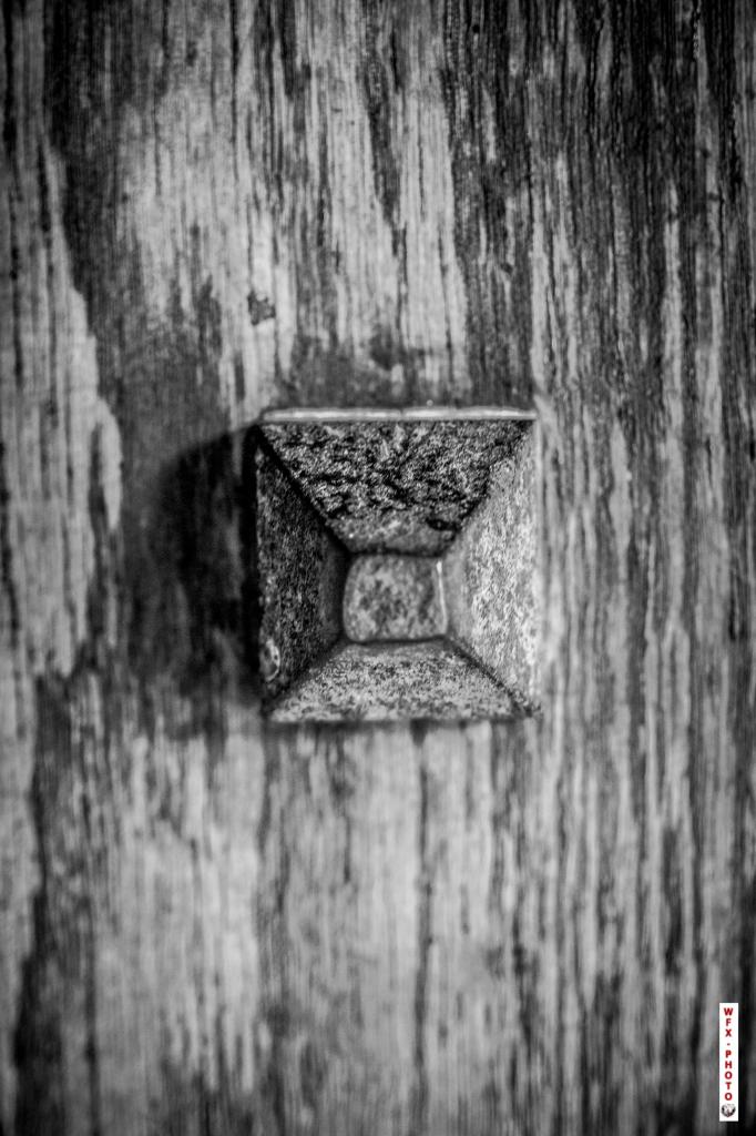 Chateau de Salse-81