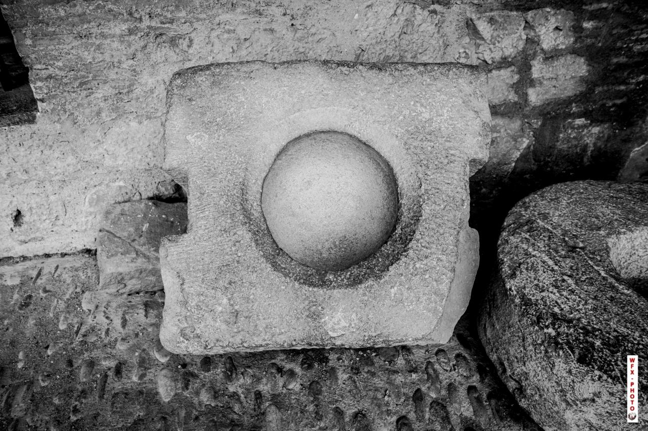 Chateau de Salse-85