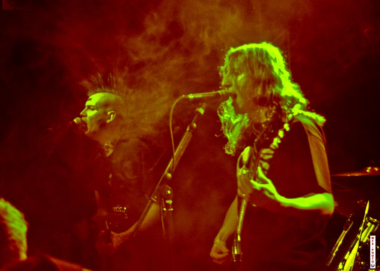 Ultra Vomit