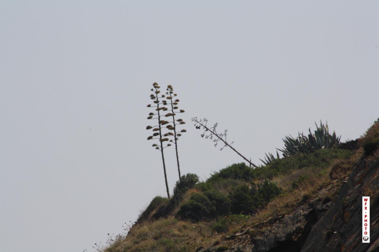 Nature et paysage-12