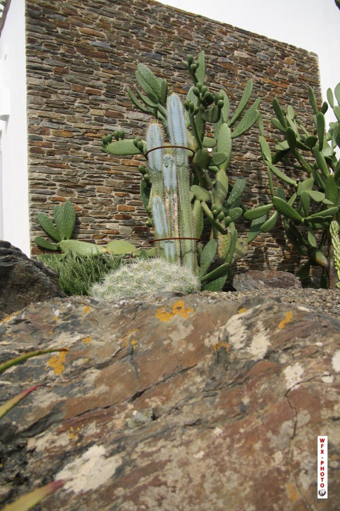 Nature et paysage-32