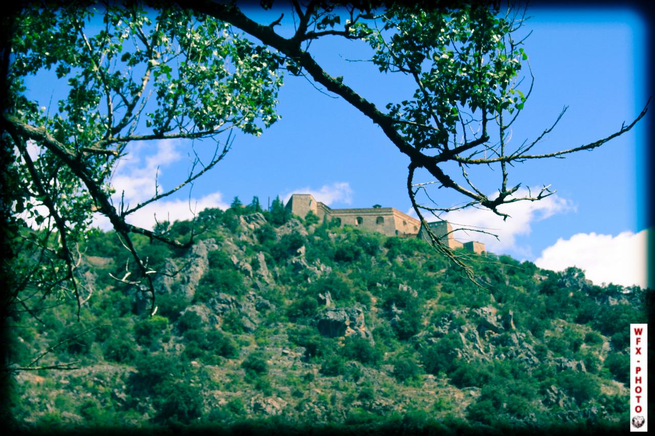 Nature et paysage-34