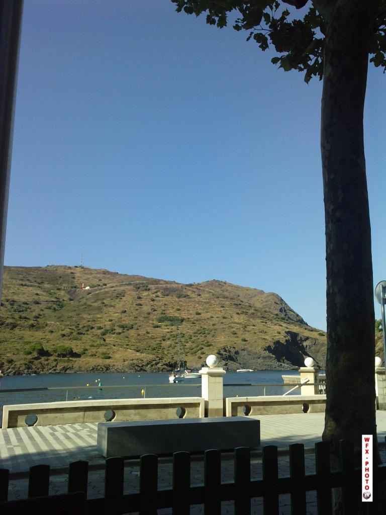 Nature et paysage-9