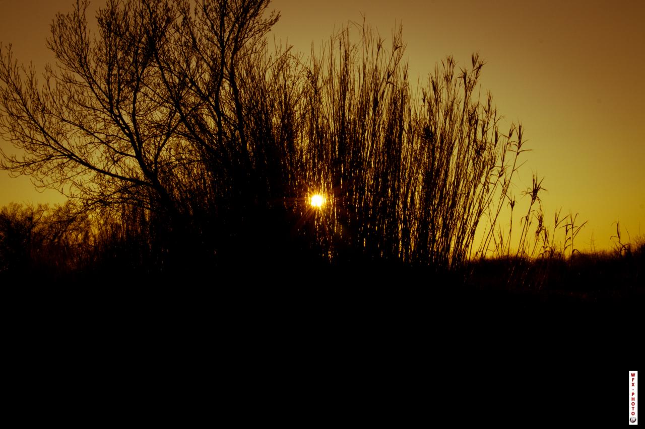 Nature morte-4