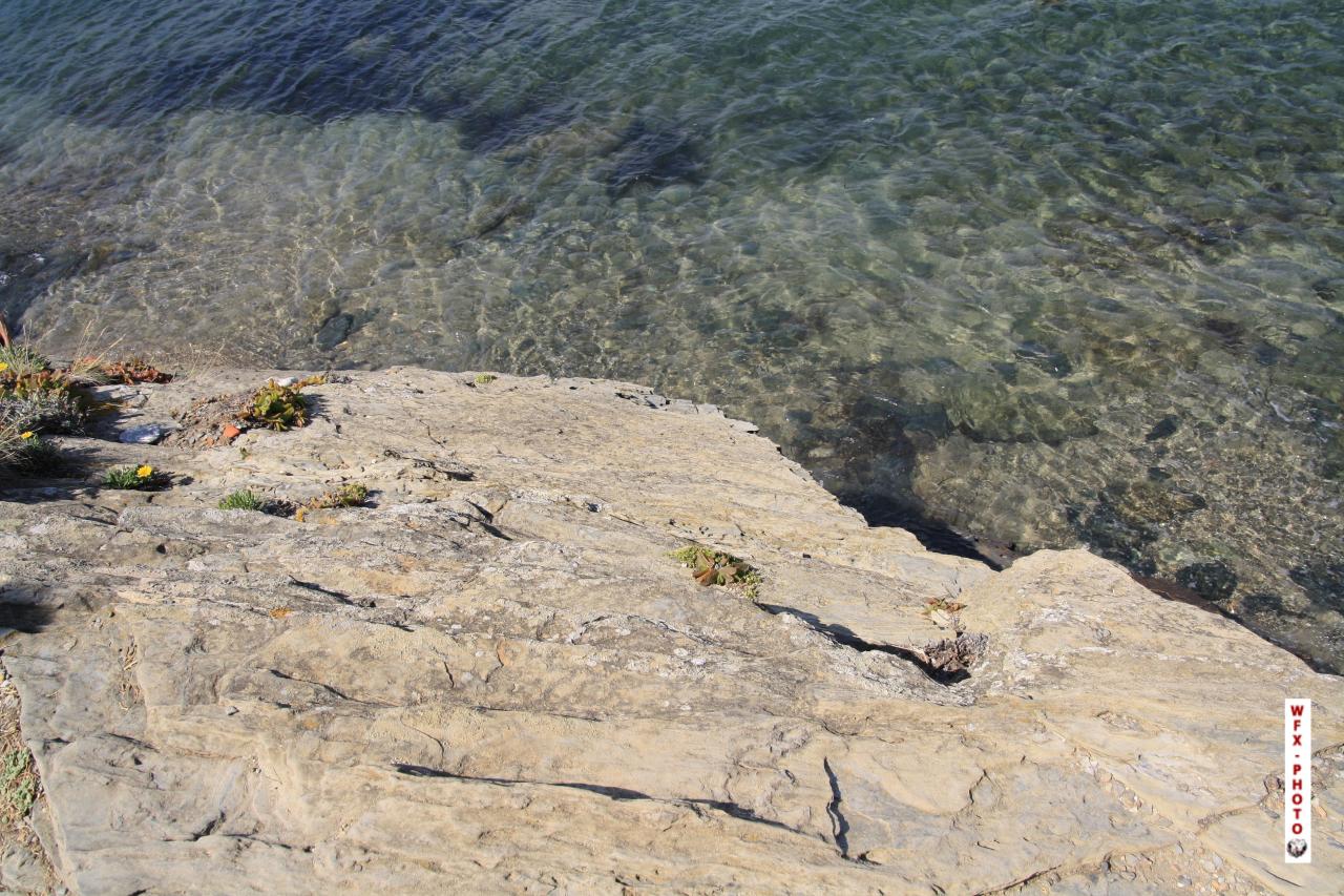 Nature morte-41