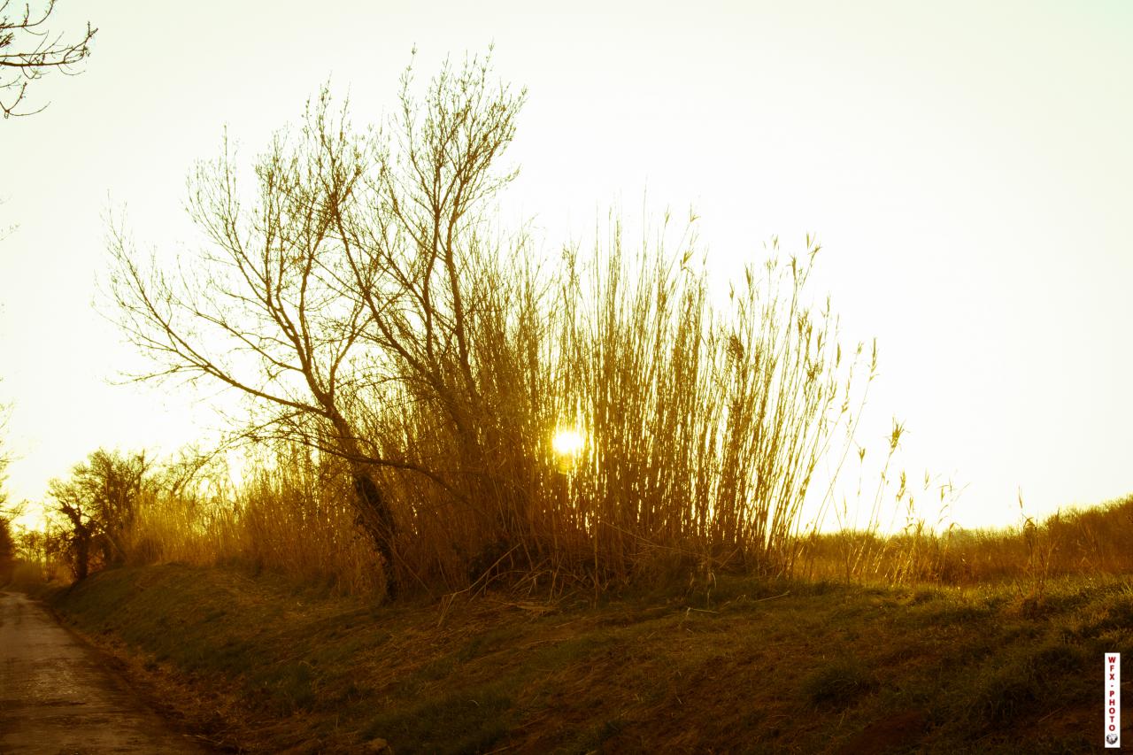 Nature morte-5