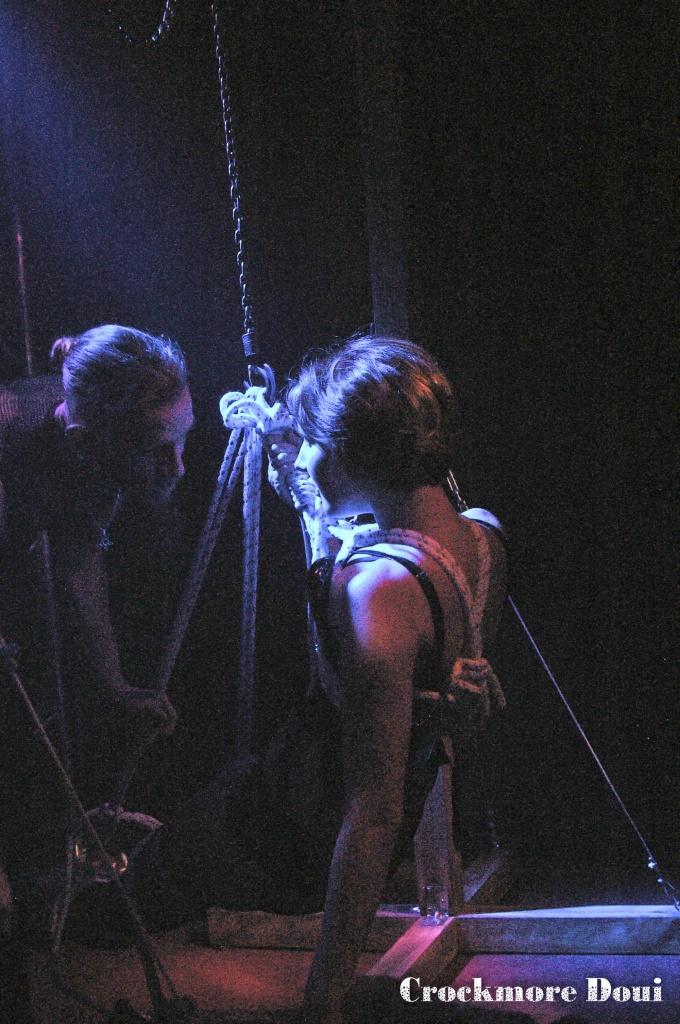 Premiere performance (27)