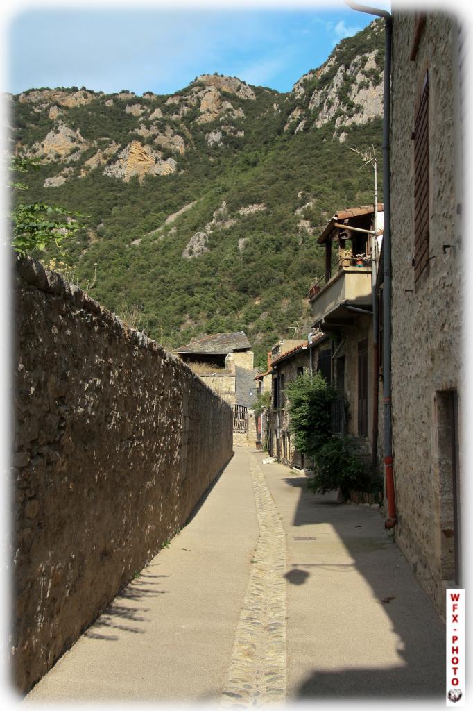 Urbain (28)