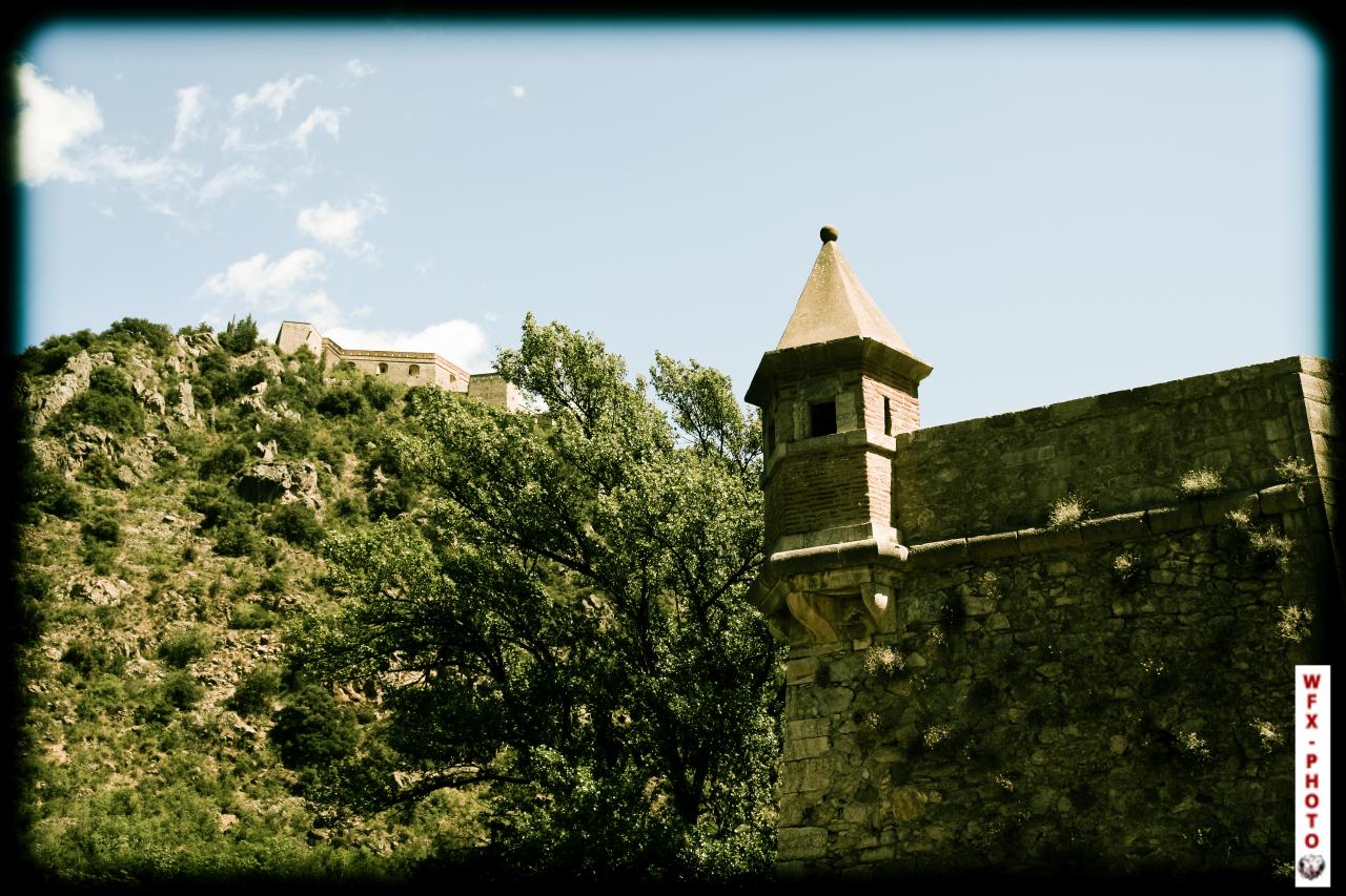 Urbain (36)